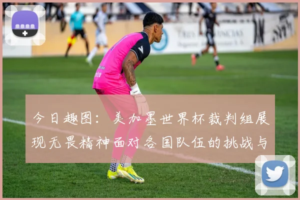 今日趣图：美加墨世界杯裁判组展现无畏精神面对各国队伍的挑战与针对